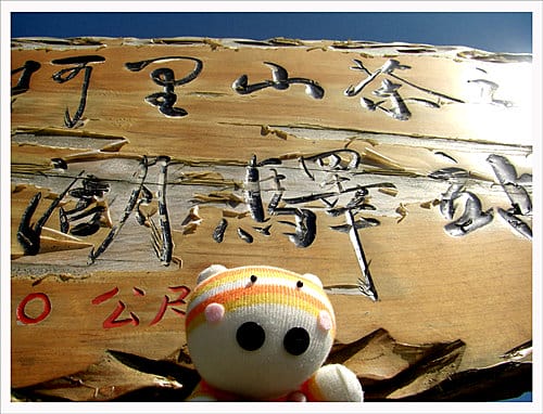 雲林古坑與嘉義梅山綜合遊記
