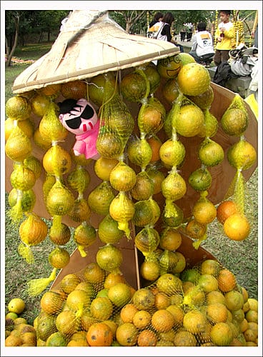 2007雲林古坑柳丁嘉年華 2007雲林古坑柳丁嘉年華