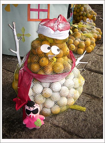 2007雲林古坑柳丁嘉年華 2007雲林古坑柳丁嘉年華