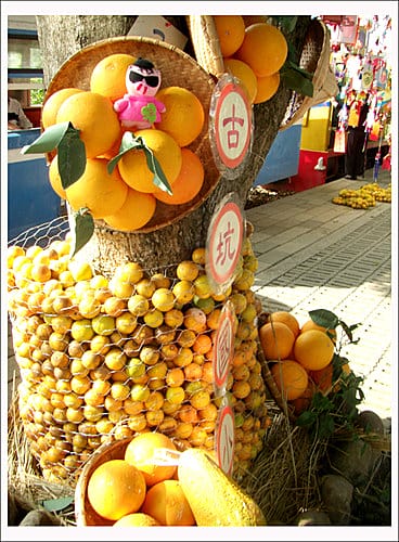 2007雲林古坑柳丁嘉年華 2007雲林古坑柳丁嘉年華