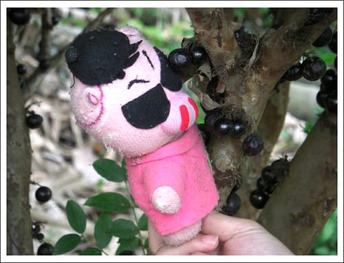 從桃園台茂購物中心到嘉義中埔(2009.9.9一張照片登上奇 從桃園台茂購物中心到嘉義中埔(2009.9.9一張照片登上奇