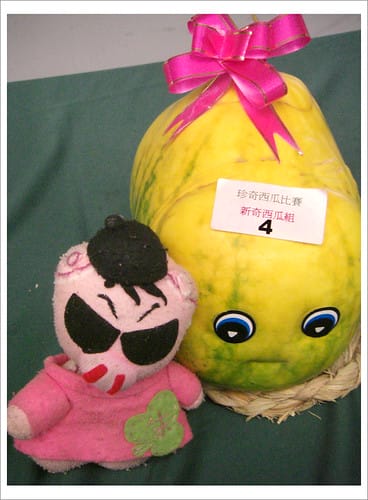 2009台灣西瓜節 2009台灣西瓜節