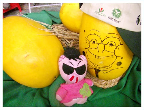 2009台灣西瓜節 2009台灣西瓜節