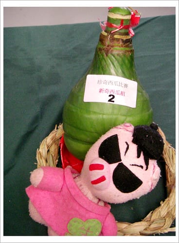 2009台灣西瓜節 2009台灣西瓜節