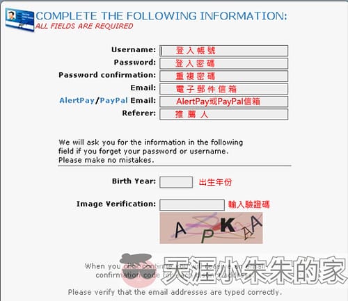 我的網賺年度報告