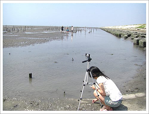 彰化鹿港與王功漁港一日遊(2009.9.9兩張照片登上奇摩精 彰化鹿港與王功漁港一日遊(2009.9.9兩張照片登上奇摩精