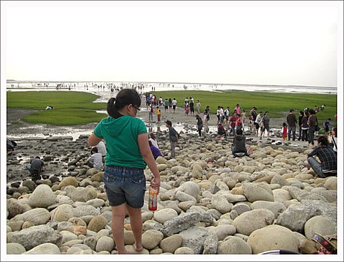 2010台中清水高美溼地遊記 2010台中清水高美溼地遊記