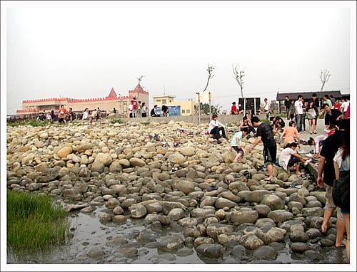 2010台中清水高美溼地遊記