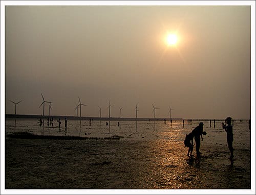 2010台中清水高美溼地遊記 2010台中清水高美溼地遊記