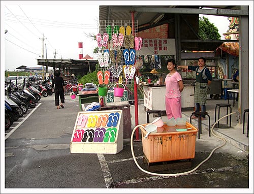 2010台中清水高美溼地遊記 2010台中清水高美溼地遊記