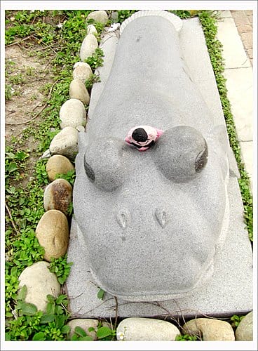 2010台中清水高美溼地遊記 2010台中清水高美溼地遊記