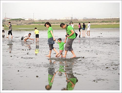 2010台中清水高美溼地遊記 2010台中清水高美溼地遊記