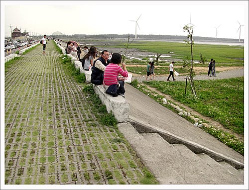 2010台中清水高美溼地遊記 2010台中清水高美溼地遊記