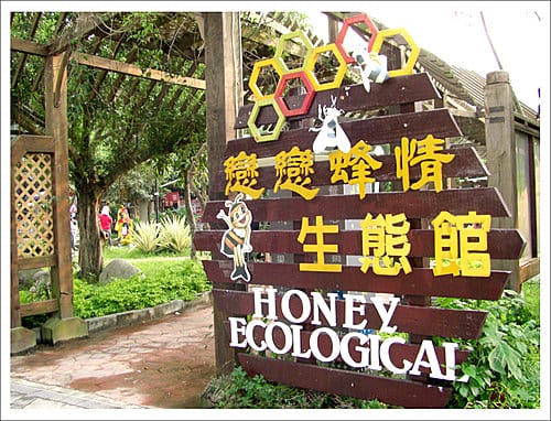 漫步薰衣草森林與情人木橋 漫步薰衣草森林與情人木橋