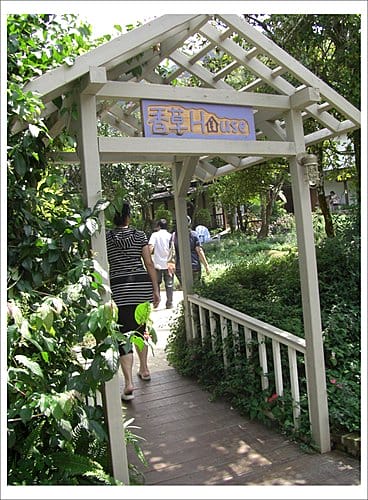 漫步薰衣草森林與情人木橋 漫步薰衣草森林與情人木橋