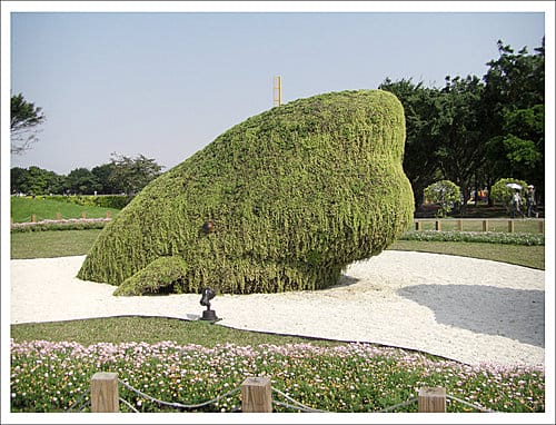 全民瘋花博,搶搭台北花博末班車成功! 全民瘋花博,搶搭台北花博末班車成功!