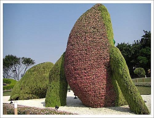 全民瘋花博,搶搭台北花博末班車成功! 全民瘋花博,搶搭台北花博末班車成功!