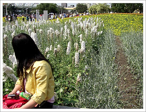 全民瘋花博,搶搭台北花博末班車成功! 全民瘋花博,搶搭台北花博末班車成功!