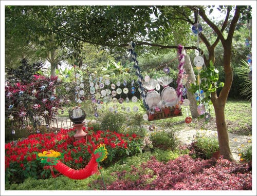 2012雲林古坑花卉研究中心春節賞花趣 2012雲林古坑花卉研究中心春節賞花趣