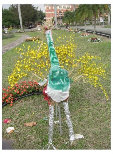 2012雲林古坑花卉研究中心春節賞花趣 2012雲林古坑花卉研究中心春節賞花趣