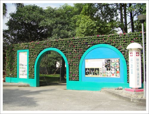 2012雲林古坑花卉研究中心春節賞花趣 2012雲林古坑花卉研究中心春節賞花趣