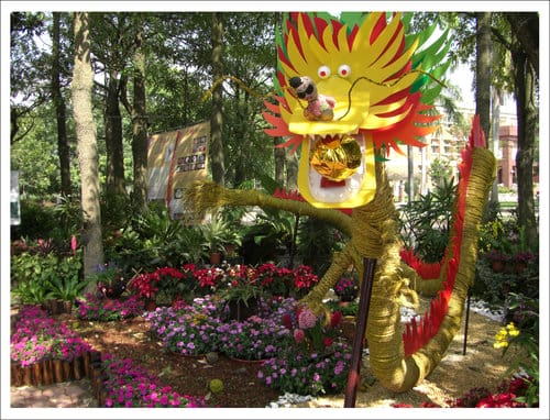 2012雲林古坑花卉研究中心春節賞花趣 2012雲林古坑花卉研究中心春節賞花趣