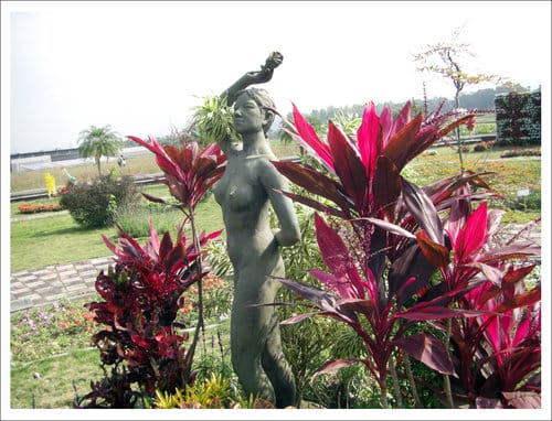 2012雲林古坑花卉研究中心春節賞花趣 2012雲林古坑花卉研究中心春節賞花趣