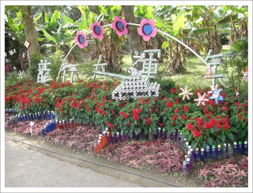 2012雲林古坑花卉研究中心春節賞花趣 2012雲林古坑花卉研究中心春節賞花趣