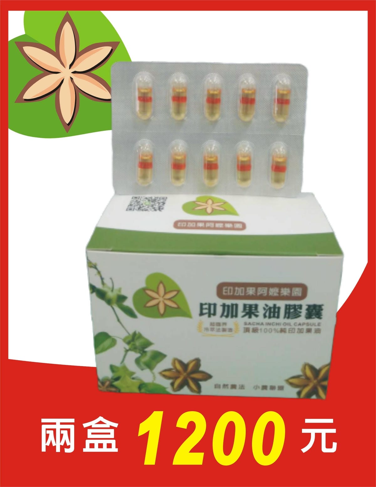 印加果油膠囊.JPG 印加果油膠囊.JPG