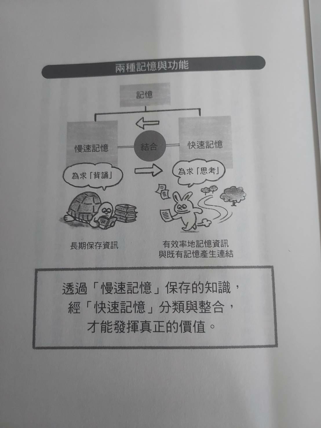 慢速記憶與快速記憶.jpg 慢速記憶與快速記憶.jpg